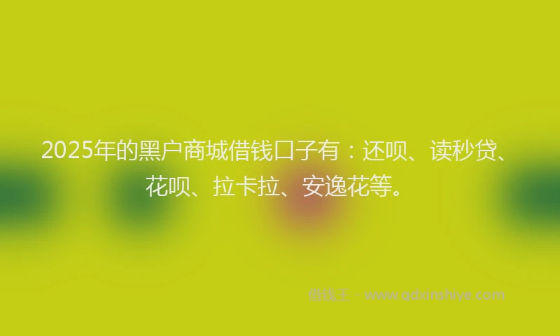 2025年的黑户商城借钱口子有：还呗、读秒贷、花呗、拉卡拉、安逸花等。