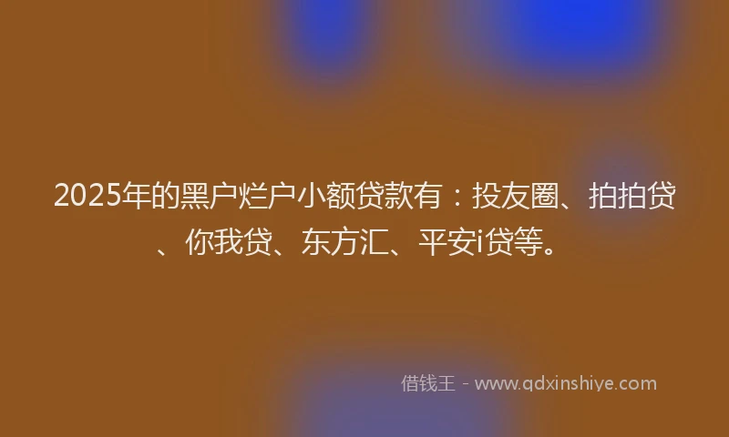 2025年的黑户烂户小额贷款有：投友圈、拍拍贷、你我贷、东方汇、平安i贷等。