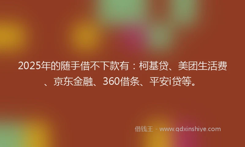 2025年的随手借不下款有：柯基贷、美团生活费、京东金融、360借条、平安i贷等。