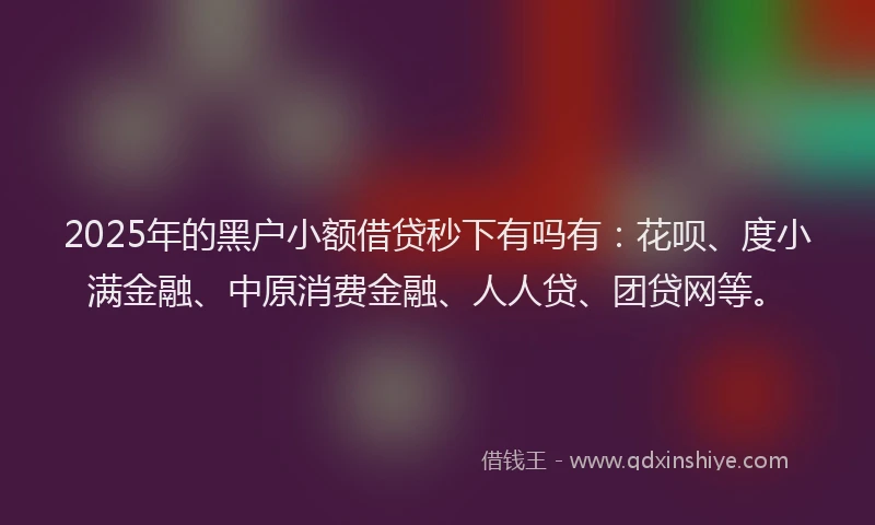 2025年的黑户小额借贷秒下有吗有：花呗、度小满金融、中原消费金融、人人贷、团贷网等。