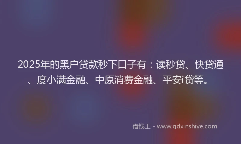 2025年的黑户贷款秒下口子有：读秒贷、快贷通、度小满金融、中原消费金融、平安i贷等。