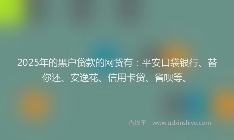 2025年的黑户贷款的网贷有：平安口袋银行、替你还、安逸花、信用卡贷、省呗等。