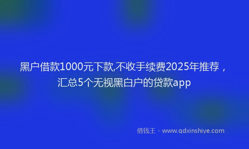 黑户借款1000元下款,不收手续费2025年推荐，汇总5个无视黑白户的贷款app