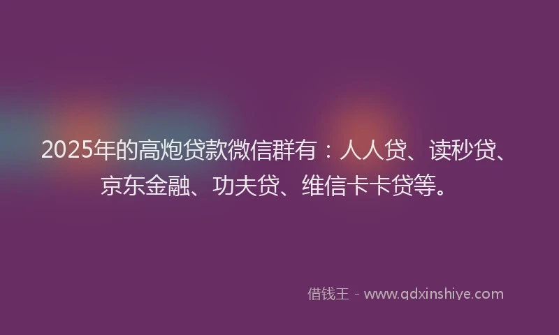2025年的高炮贷款微信群有：人人贷、读秒贷、京东金融、功夫贷、维信卡卡贷等。