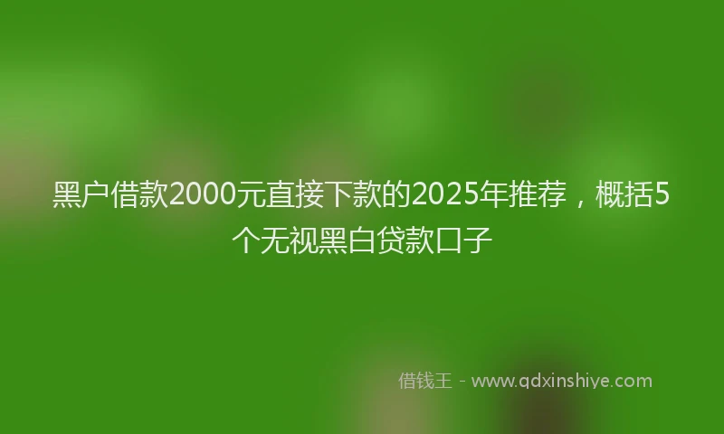 黑户借款2000元直接下款的2025年推荐，概括5个无视黑白贷款口子