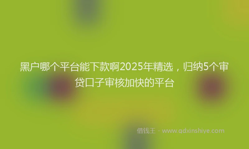 黑户哪个平台能下款啊2025年精选，归纳5个审贷口子审核加快的平台