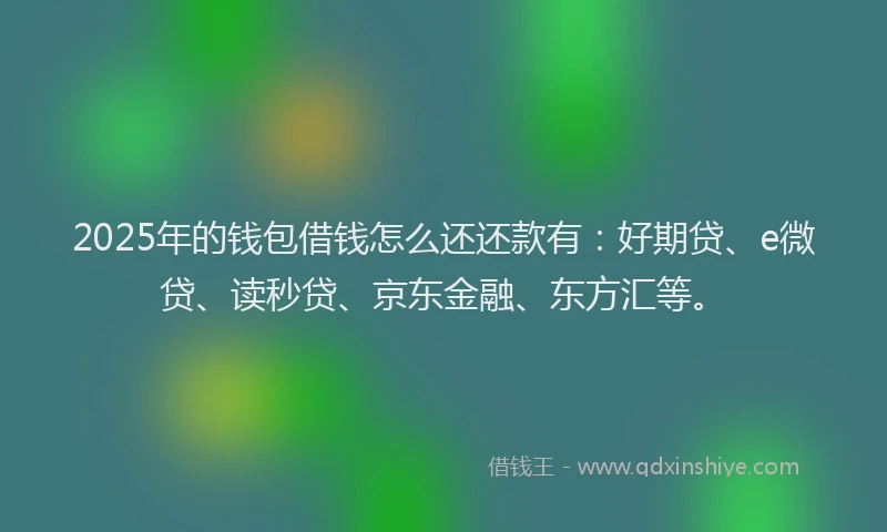 2025年的钱包借钱怎么还还款有：好期贷、e微贷、读秒贷、京东金融、东方汇等。