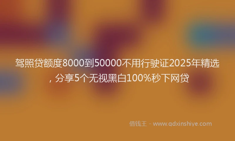 驾照贷额度8000到50000不用行驶证2025年精选，分享5个无视黑白100%秒下网贷
