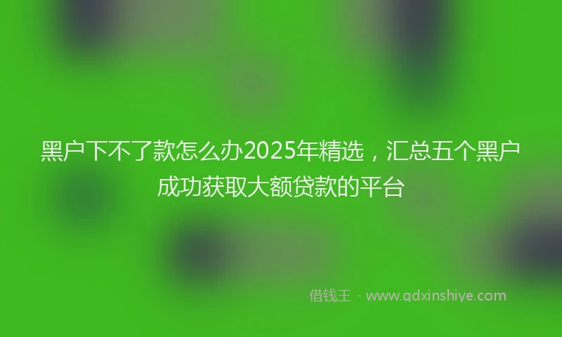 黑户下不了款怎么办2025年精选，汇总五个黑户成功获取大额贷款的平台
