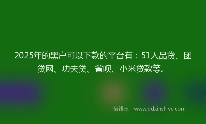 2025年的黑户可以下款的平台有：51人品贷、团贷网、功夫贷、省呗、小米贷款等。