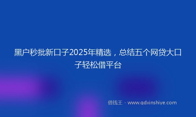 黑户秒批新口子2025年精选，总结五个网贷大口子轻松借平台