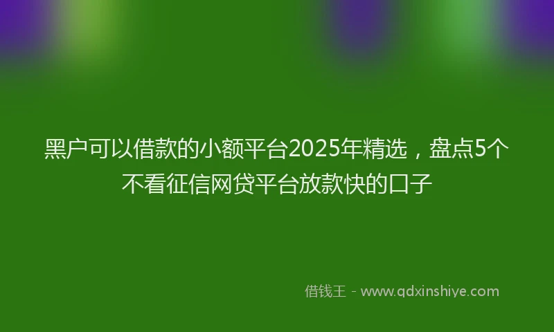 黑户可以借款的小额平台2025年精选，盘点5个不看征信网贷平台放款快的口子