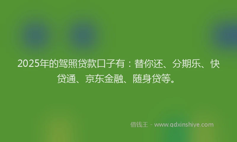 2025年的驾照贷款口子有：替你还、分期乐、快贷通、京东金融、随身贷等。