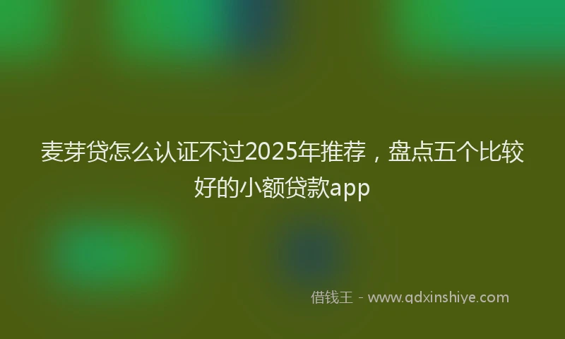 麦芽贷怎么认证不过2025年推荐，盘点五个比较好的小额贷款app