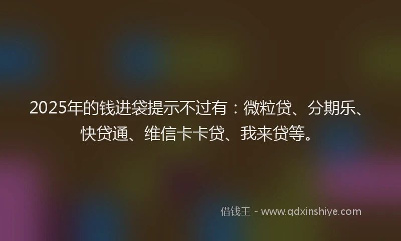 2025年的钱进袋提示不过有：微粒贷、分期乐、快贷通、维信卡卡贷、我来贷等。
