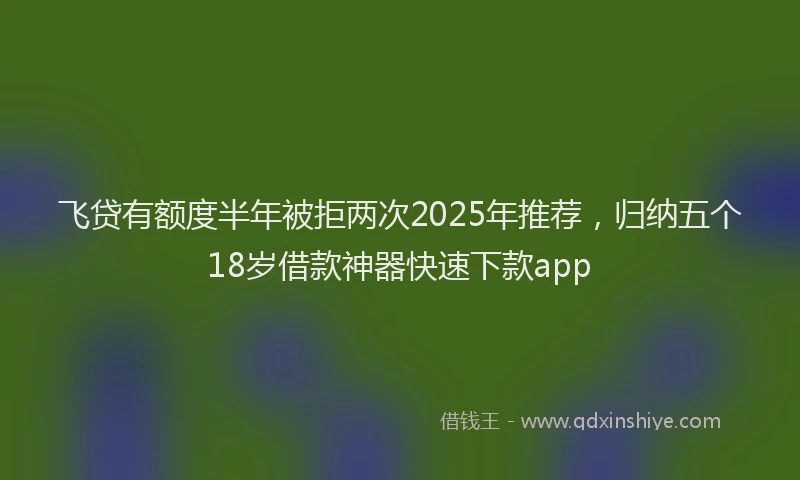 飞贷有额度半年被拒两次2025年推荐，归纳五个18岁借款神器快速下款app
