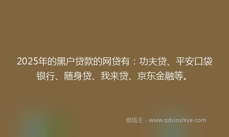 2025年的黑户贷款的网贷有：功夫贷、平安口袋银行、随身贷、我来贷、京东金融等。