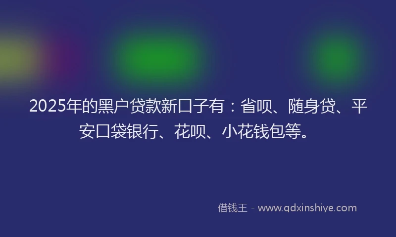 2025年的黑户贷款新口子有：省呗、随身贷、平安口袋银行、花呗、小花钱包等。