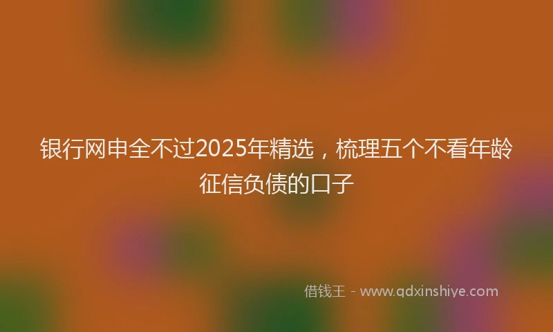 银行网申全不过2025年精选，梳理五个不看年龄征信负债的口子