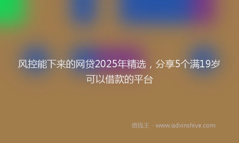 风控能下来的网贷2025年精选，分享5个满19岁可以借款的平台
