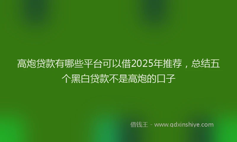 高炮贷款有哪些平台可以借2025年推荐，总结五个黑白贷款不是高炮的口子