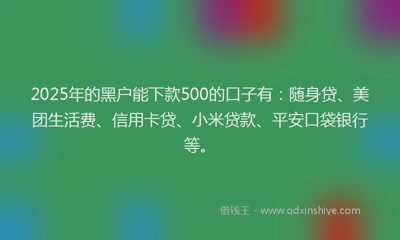 2025年的黑户能下款500的口子有：随身贷、美团生活费、信用卡贷、小米贷款、平安口袋银行等。