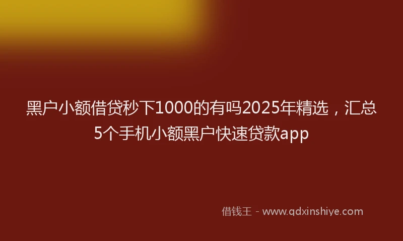 黑户小额借贷秒下1000的有吗2025年精选，汇总5个手机小额黑户快速贷款app