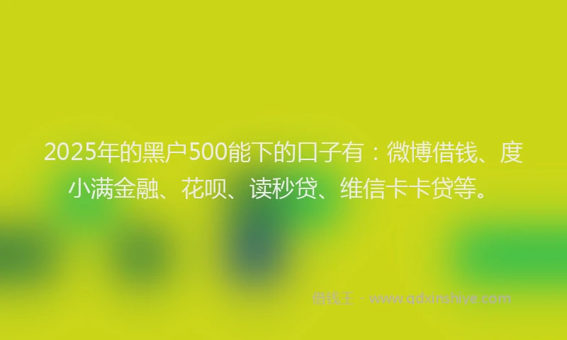 2025年的黑户500能下的口子有：微博借钱、度小满金融、花呗、读秒贷、维信卡卡贷等。