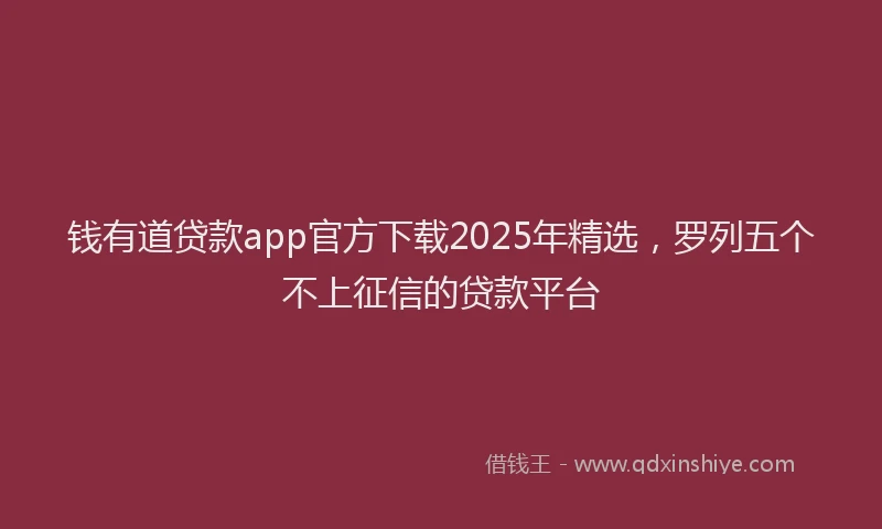 钱有道贷款app官方下载2025年精选，罗列五个不上征信的贷款平台