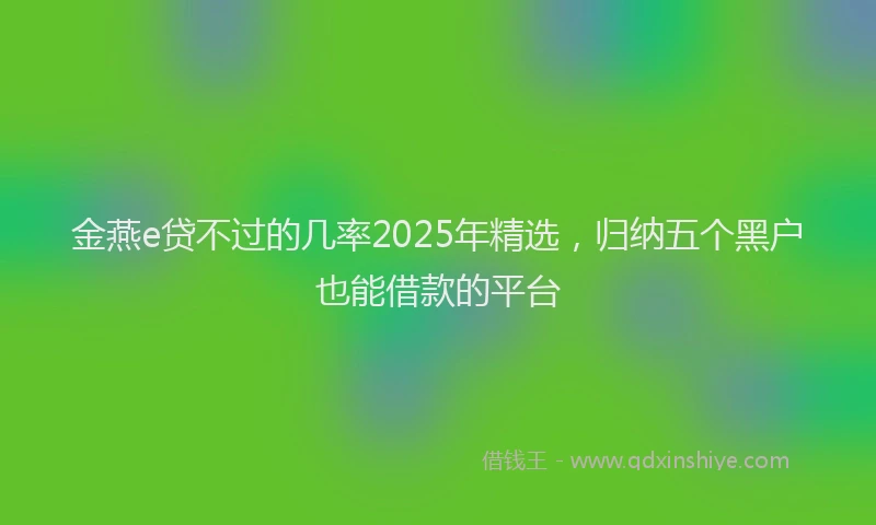金燕e贷不过的几率2025年精选，归纳五个黑户也能借款的平台