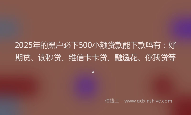 2025年的黑户必下500小额贷款能下款吗有：好期贷、读秒贷、维信卡卡贷、融逸花、你我贷等。