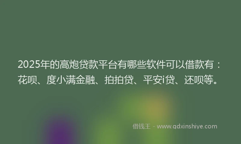 2025年的高炮贷款平台有哪些软件可以借款有：花呗、度小满金融、拍拍贷、平安i贷、还呗等。