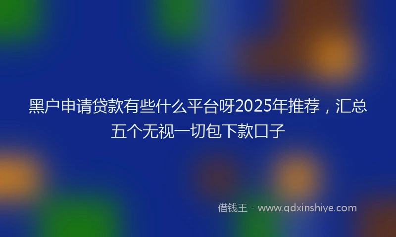 黑户申请贷款有些什么平台呀2025年推荐，汇总五个无视一切包下款口子