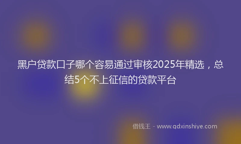 黑户贷款口子哪个容易通过审核2025年精选，总结5个不上征信的贷款平台