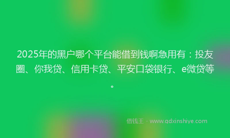2025年的黑户哪个平台能借到钱啊急用有：投友圈、你我贷、信用卡贷、平安口袋银行、e微贷等。
