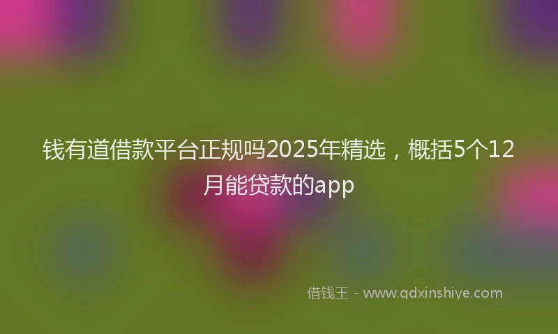钱有道借款平台正规吗2025年精选，概括5个12月能贷款的app