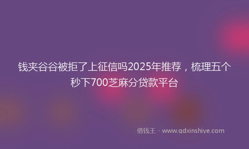 钱夹谷谷被拒了上征信吗2025年推荐，梳理五个秒下700芝麻分贷款平台