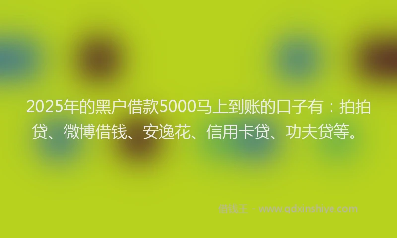 2025年的黑户借款5000马上到账的口子有：拍拍贷、微博借钱、安逸花、信用卡贷、功夫贷等。