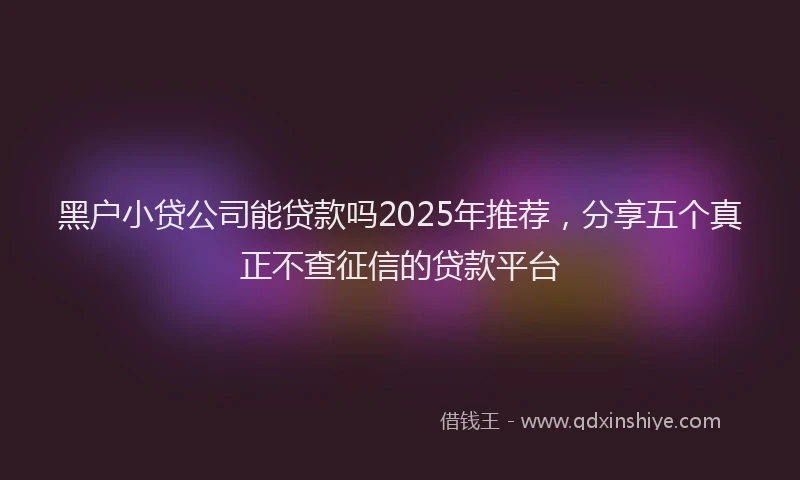黑户小贷公司能贷款吗2025年推荐，分享五个真正不查征信的贷款平台