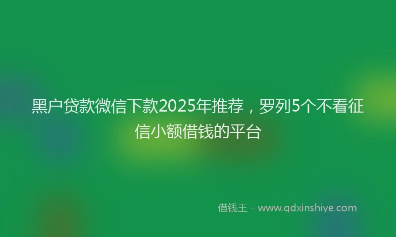 黑户贷款微信下款2025年推荐，罗列5个不看征信小额借钱的平台