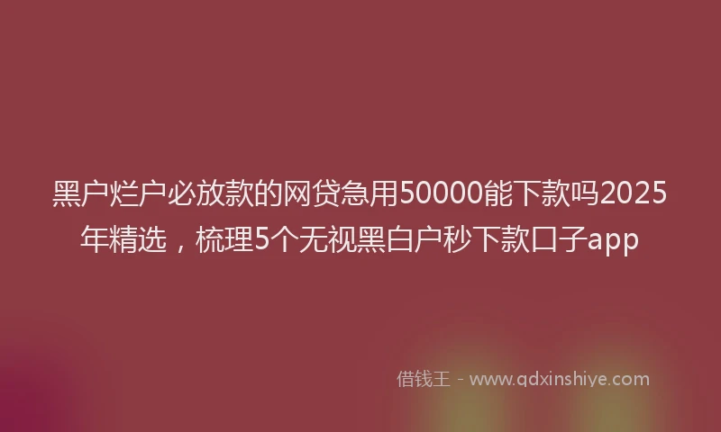 黑户烂户必放款的网贷急用50000能下款吗2025年精选，梳理5个无视黑白户秒下款口子app
