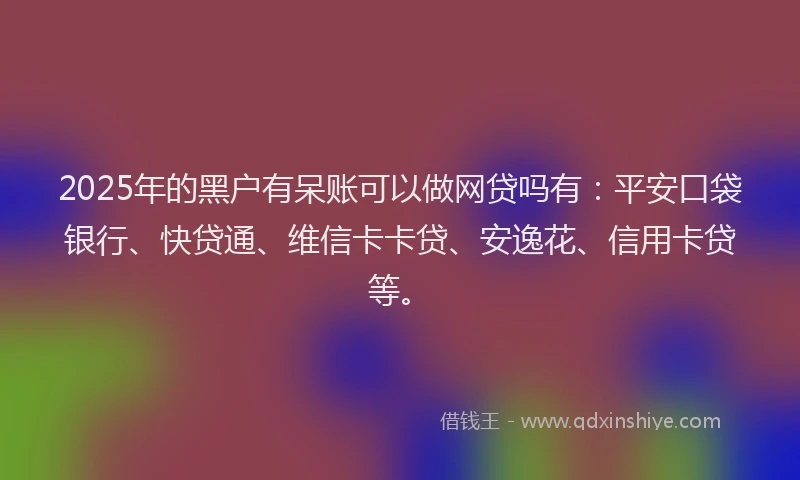2025年的黑户有呆账可以做网贷吗有：平安口袋银行、快贷通、维信卡卡贷、安逸花、信用卡贷等。