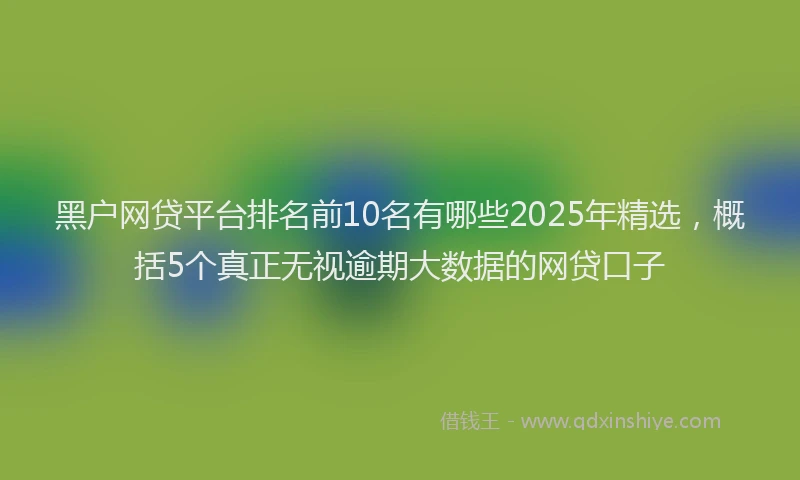 黑户网贷平台排名前10名有哪些2025年精选，概括5个真正无视逾期大数据的网贷口子