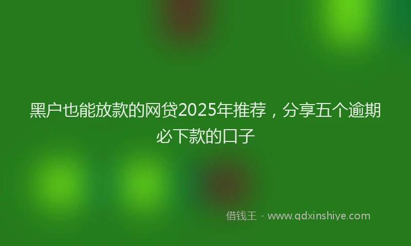 黑户也能放款的网贷2025年推荐，分享五个逾期必下款的口子