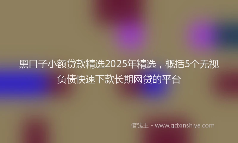 黑口子小额贷款精选2025年精选，概括5个无视负债快速下款长期网贷的平台