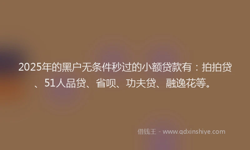 2025年的黑户无条件秒过的小额贷款有：拍拍贷、51人品贷、省呗、功夫贷、融逸花等。