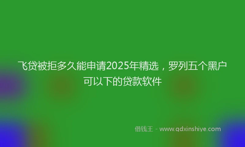 飞贷被拒多久能申请2025年精选，罗列五个黑户可以下的贷款软件