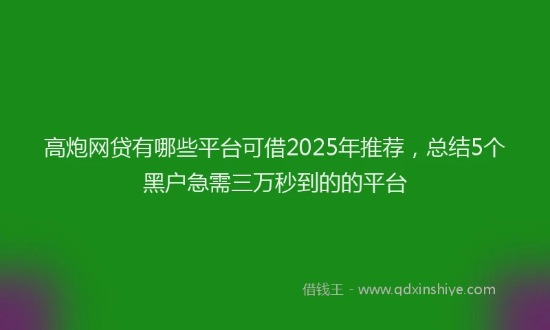 高炮网贷有哪些平台可借2025年推荐，总结5个黑户急需三万秒到的的平台