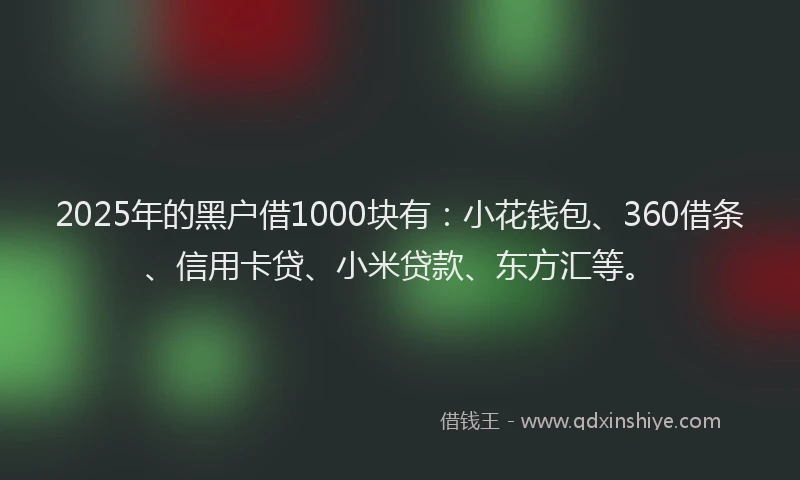 2025年的黑户借1000块有：小花钱包、360借条、信用卡贷、小米贷款、东方汇等。