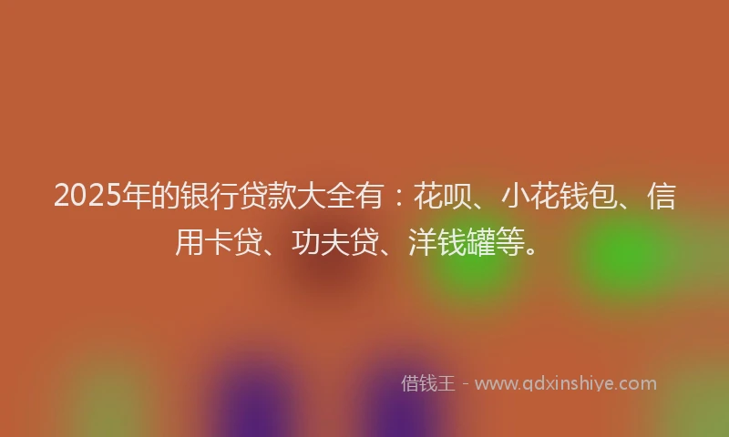 2025年的银行贷款大全有：花呗、小花钱包、信用卡贷、功夫贷、洋钱罐等。